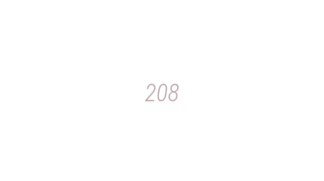 Логотип компании 208