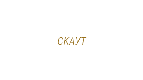 Логотип компании СКАУТ