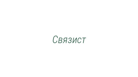Логотип компании Связист