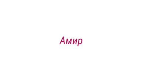 Логотип компании Амир