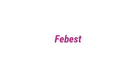 Логотип компании Febest