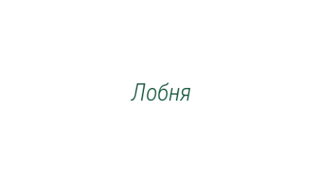 Логотип компании Лобня