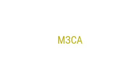Логотип компании МЗСА