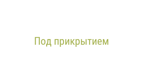 Логотип компании Под прикрытием