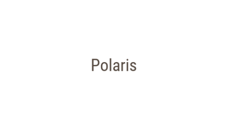 Логотип компании Polaris
