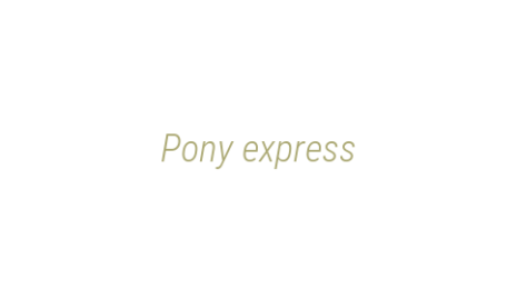 Логотип компании Pony express