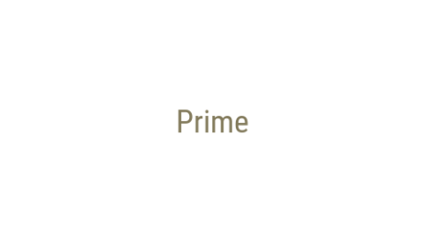 Логотип компании Prime