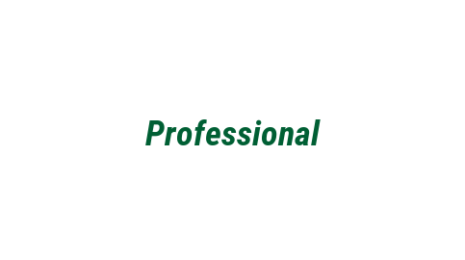 Логотип компании Professional