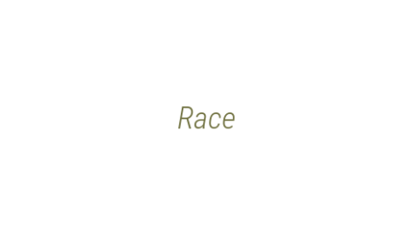 Логотип компании Race