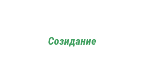 Логотип компании Созидание