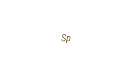 Логотип компании Sp