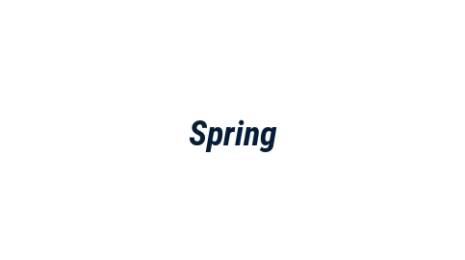 Логотип компании Spring