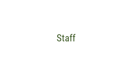 Логотип компании Staff