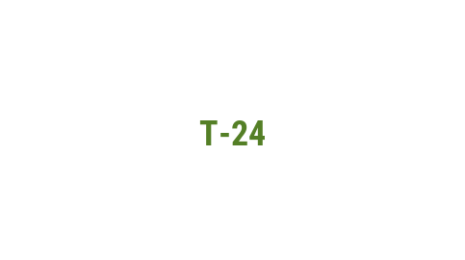 Логотип компании Т-24