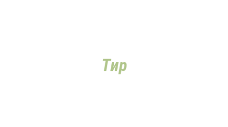 Логотип компании Тир