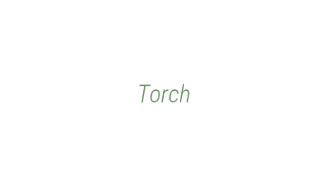 Логотип компании Torch