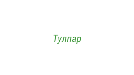 Логотип компании Тулпар