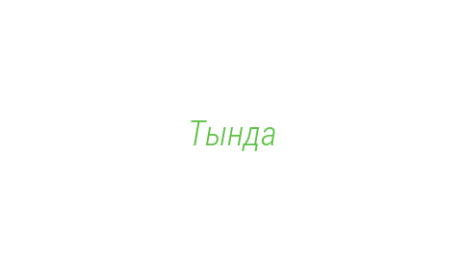 Логотип компании Тында