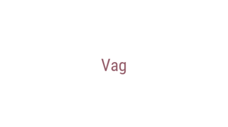 Логотип компании Vag