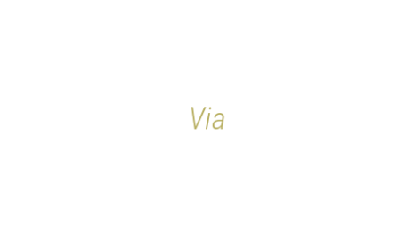 Логотип компании Via