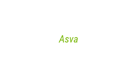 Логотип компании Asva
