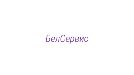 Логотип компании БелСервис