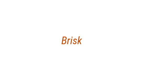 Логотип компании Brisk