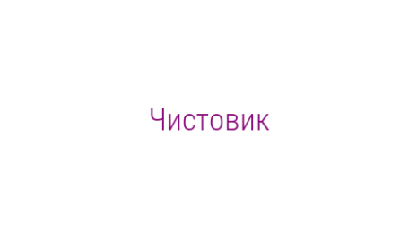 Логотип компании Чистовик