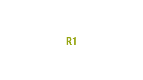 Логотип компании R1