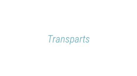 Логотип компании Transparts