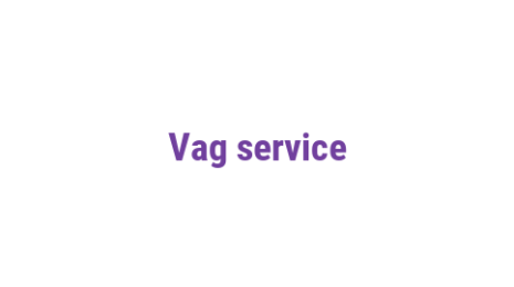 Логотип компании Vag service
