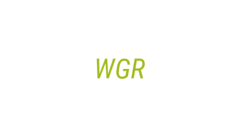 Логотип компании World Gasket Russia