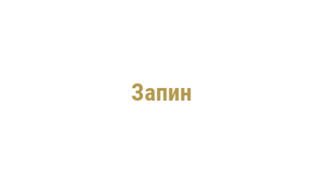 Логотип компании Запин