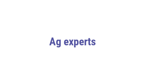 Логотип компании Ag experts