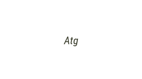 Логотип компании Atg