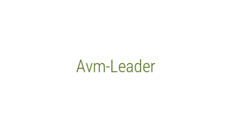 Логотип компании Avm-Leader