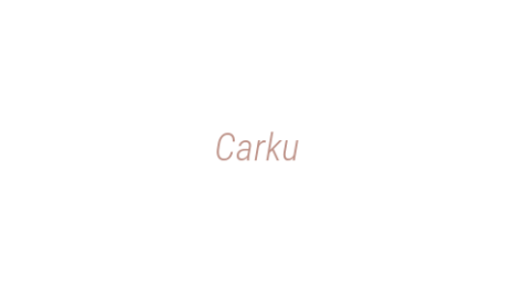 Логотип компании Carku