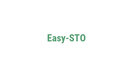 Логотип компании Easy-STO
