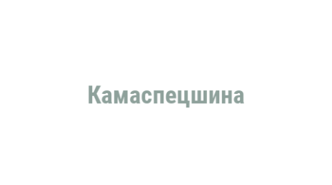 Логотип компании Камаспецшина
