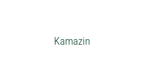 Логотип компании Kamazin