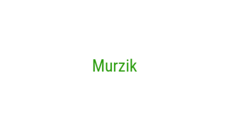 Логотип компании Murzik