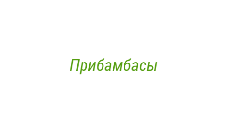Логотип компании Прибамбасы