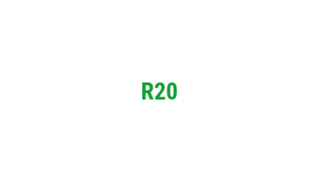 Логотип компании R20