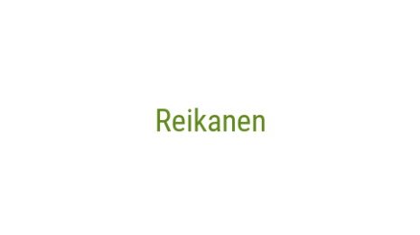 Логотип компании Reikanen