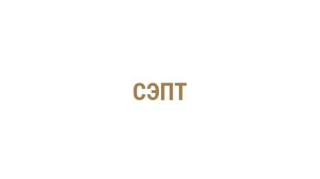Логотип компании СЭПТ