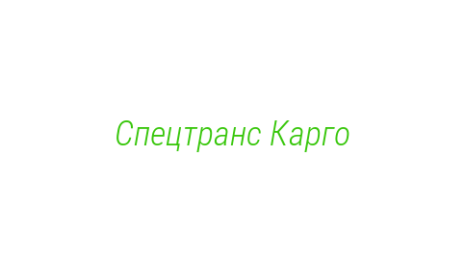 Логотип компании Спецтранс Карго