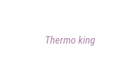 Логотип компании Thermo king