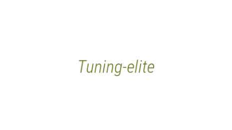 Логотип компании Tuning-elite