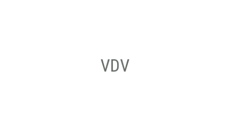 Логотип компании VDV