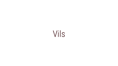 Логотип компании Vils